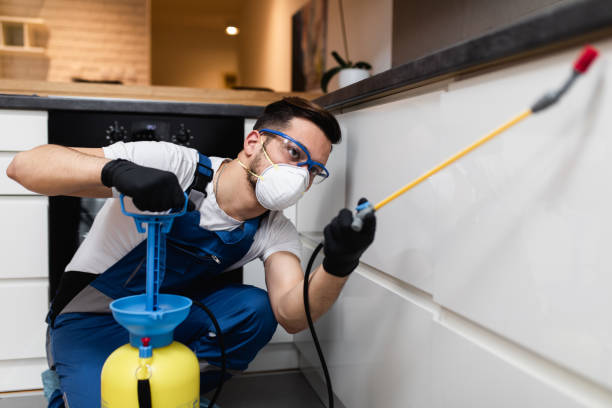 Best Pest Control for Businesses  in New Market, TN