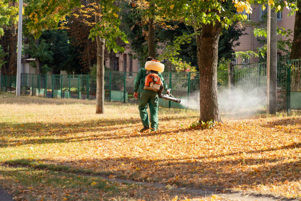 Wildlife Control Services in New Market, TN