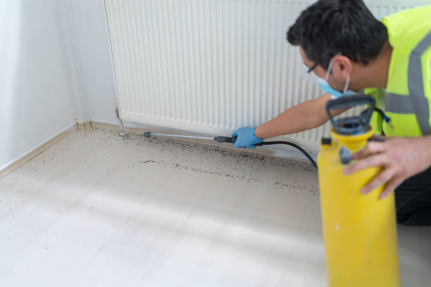 Reliable New Market, TN Pest Control Solutions
