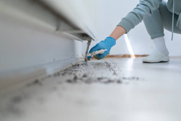 Best Best Pest Control Companies  in New Market, TN