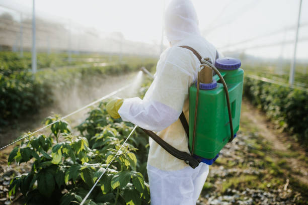 Best Rat Extermination Near Me  in New Market, TN